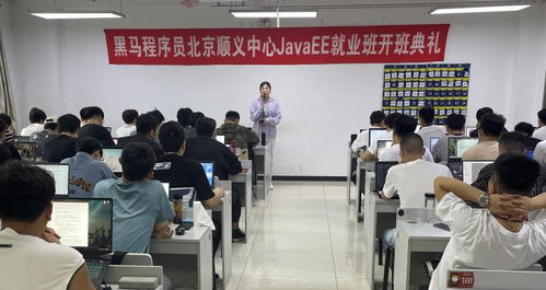 北京順義黑馬JavaEE就業(yè)169期盛大開班，攜手黑馬程序員社區(qū)共啟技術(shù)新征程
