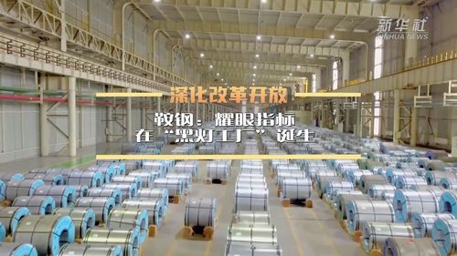 深化改革開(kāi)放丨鞍鋼 “黑燈工廠(chǎng)”里的耀眼指標(biāo)與技術(shù)咨詢(xún)新動(dòng)力
